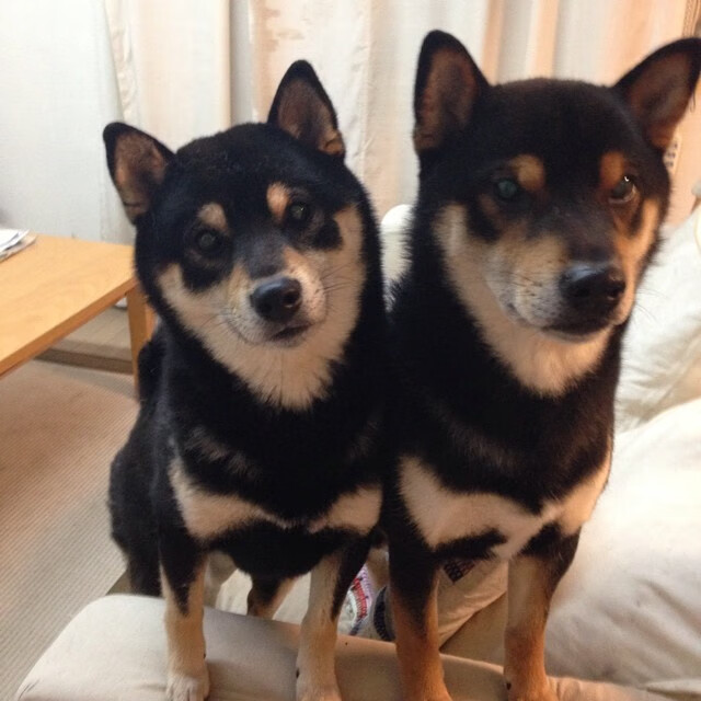 孔德刷新纪录之夜,马赛力克马德里竞技夺欧冠关键胜利