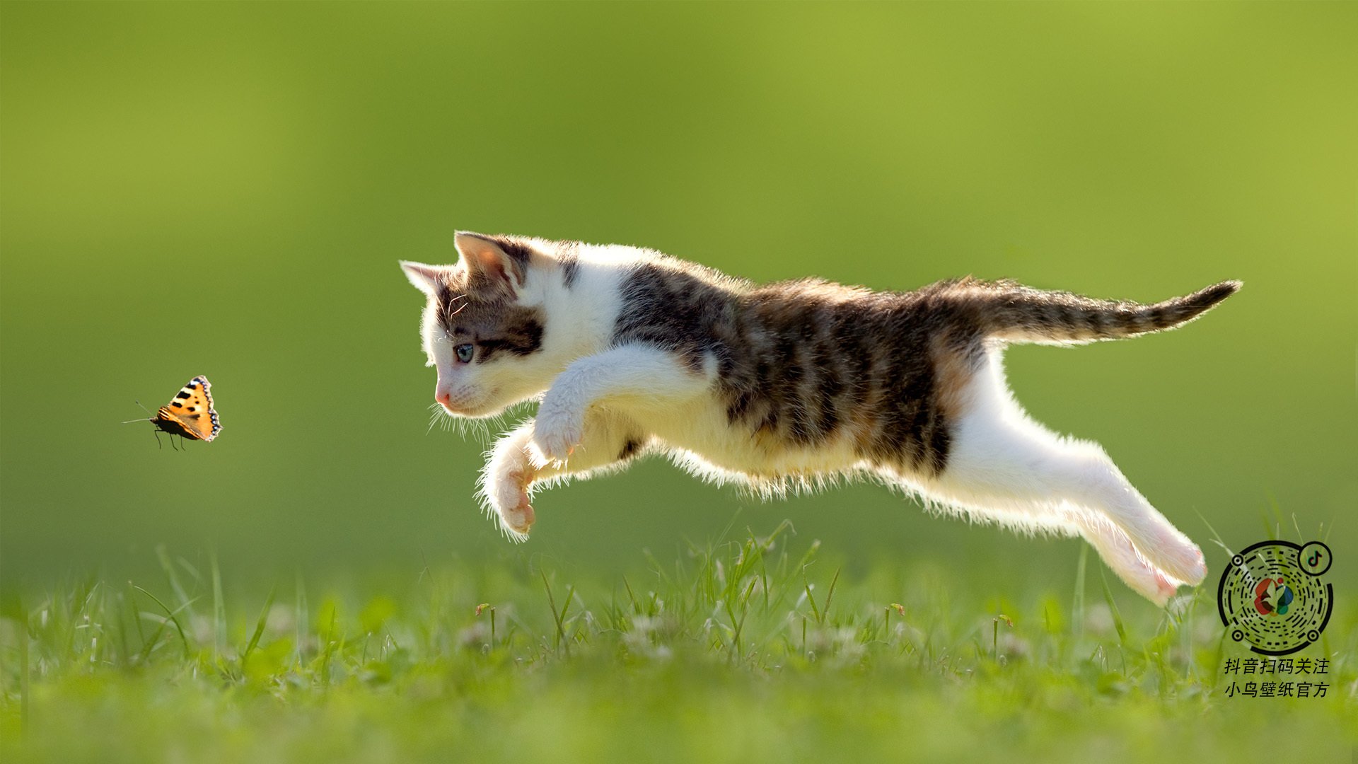 意甲焦点战启示录,当篮网以蓝黑军团之势打穿广东队的钢铁防线