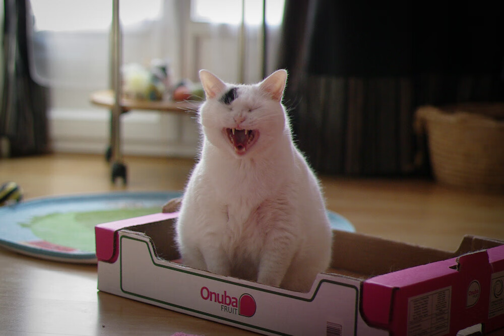 锁定胜局!爱德华兹一己之力改写比赛走向