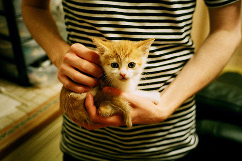 绿茵场到总决赛地板,基米希的关键回合为何不手软?