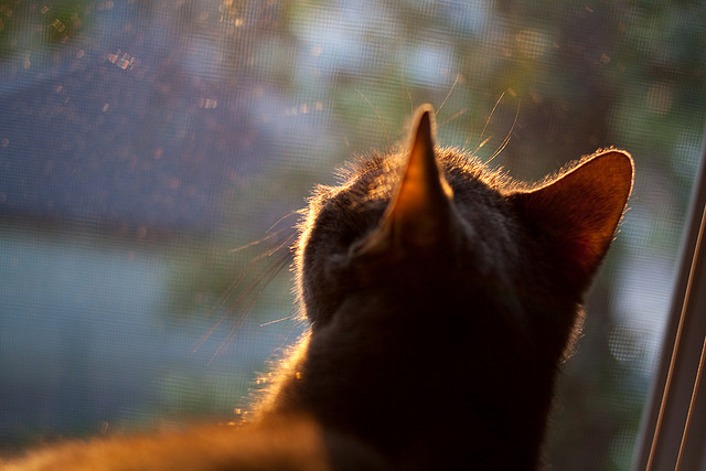 铁血防守撕裂国王,贝恩末节狂飙定乾坤