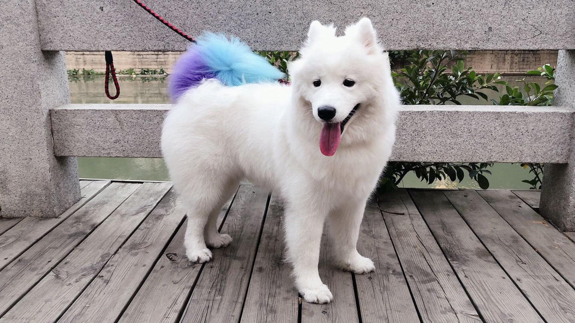 冰与火的对抗,当冰岛遇上伊朗,基米希证明舞台越大,心脏越强